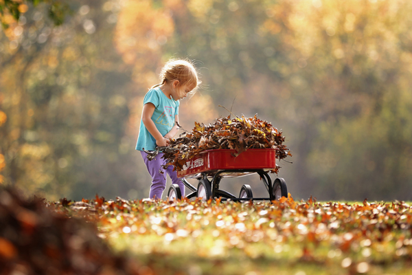 Fall Priority: Home Maintenance Checklist